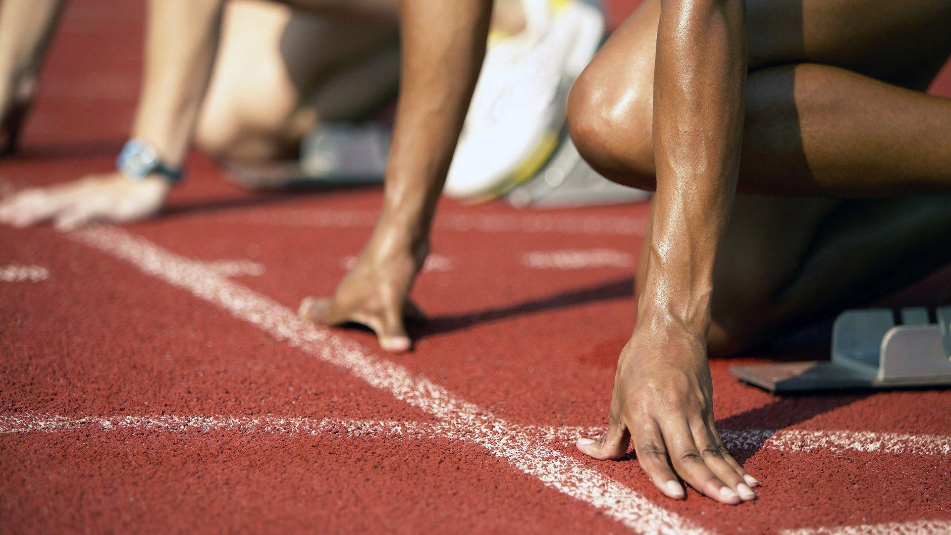 激情与归属,全球球迷文化如何塑造现代体育景观