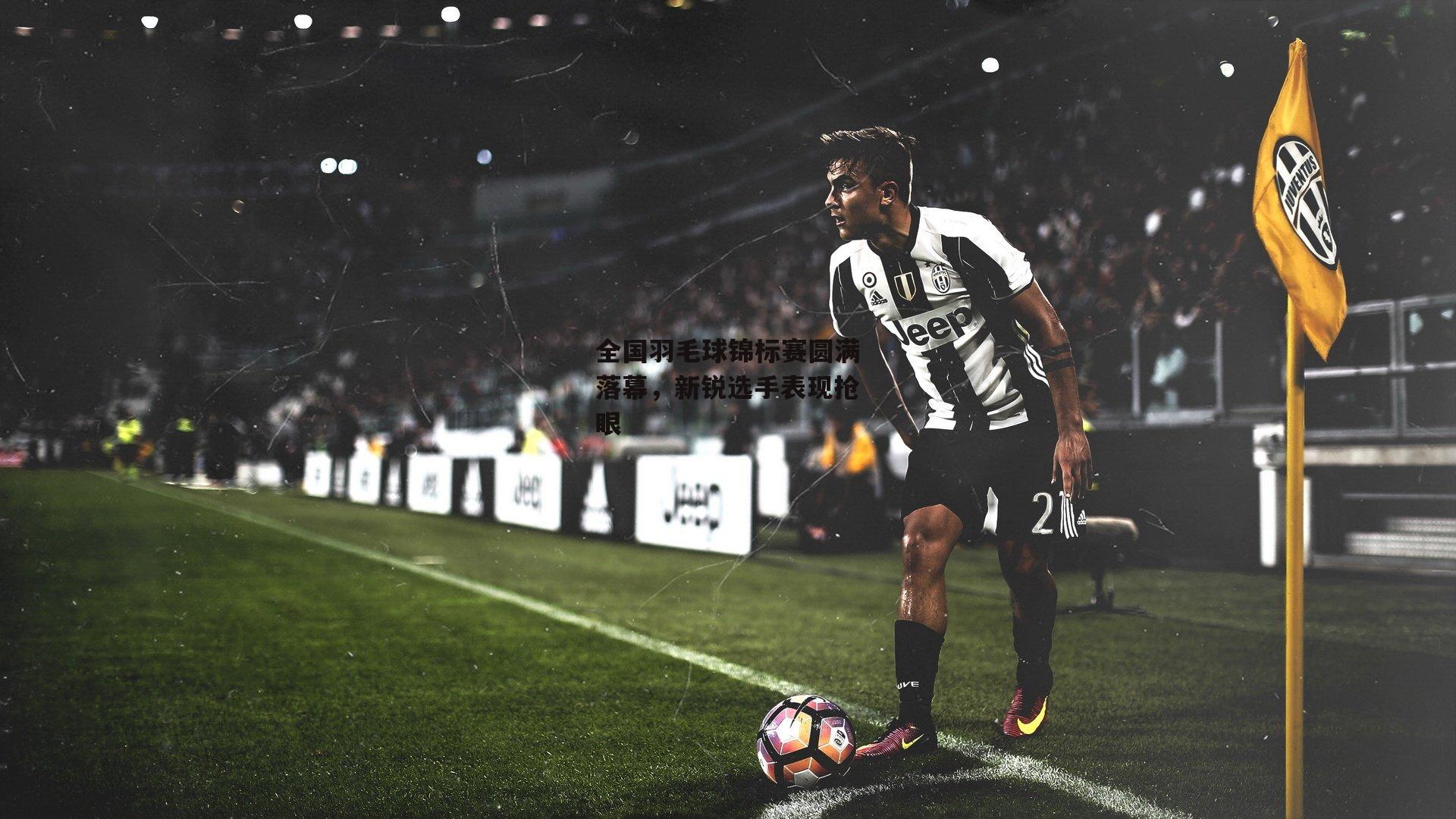 全国羽毛球锦标赛圆满落幕，新锐选手表现抢