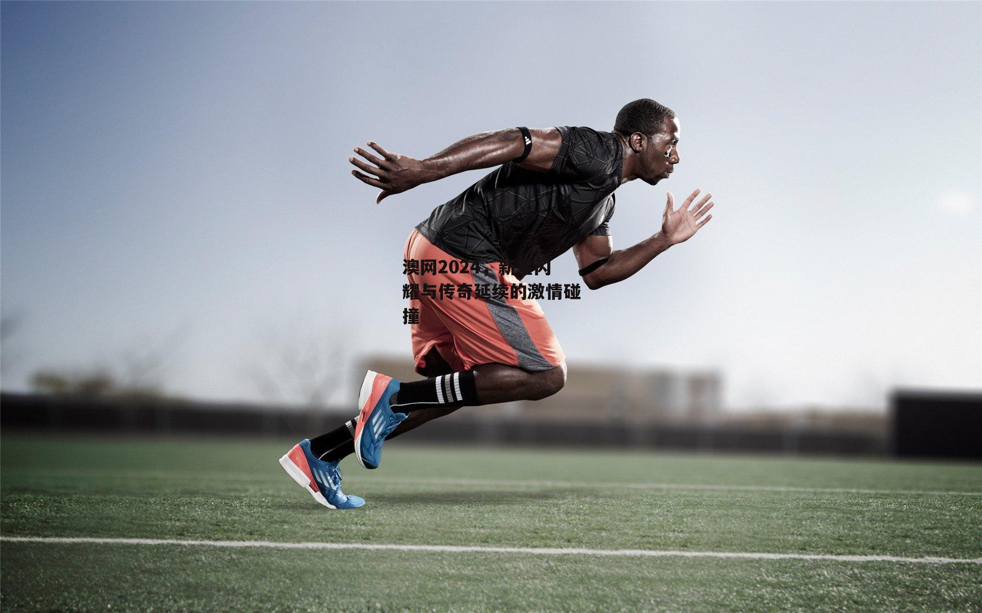 澳网2024,新星闪耀与传奇延续的激情碰撞
